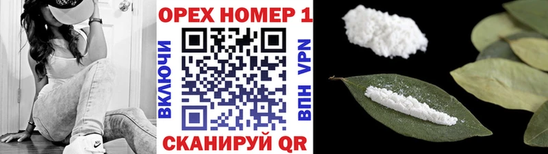 КОКАИН Fish Scale  OMG ссылка  Гусь-Хрустальный  где купить  