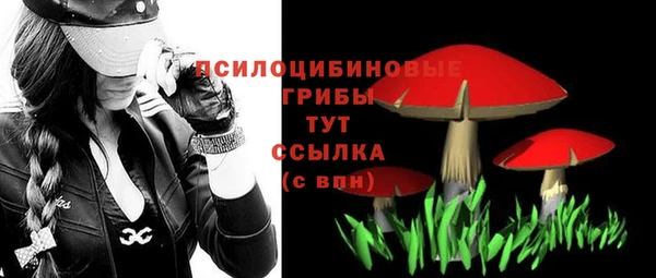 МДПВ Абаза