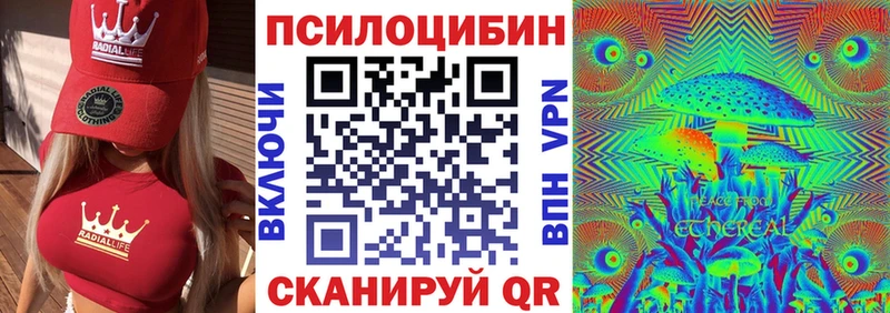 Псилоцибиновые грибы GOLDEN TEACHER  дарнет шоп  Гусь-Хрустальный 